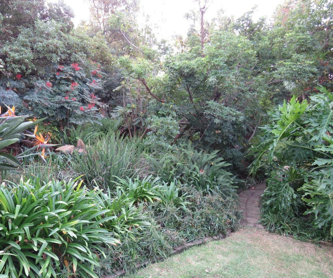 Green Pascua Bed And Breakfast Roodepoort Kültér fotó